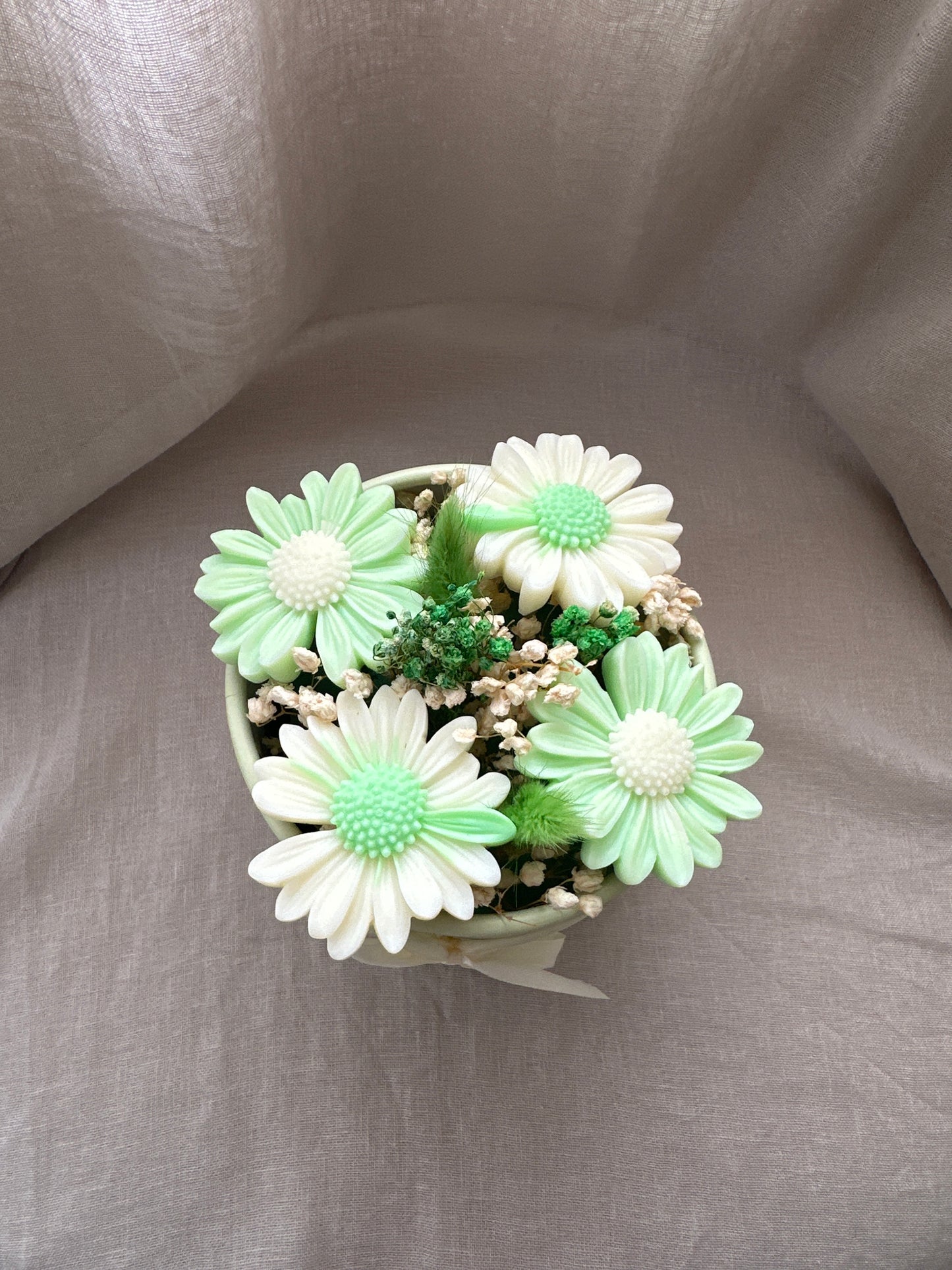 Marguerite vert