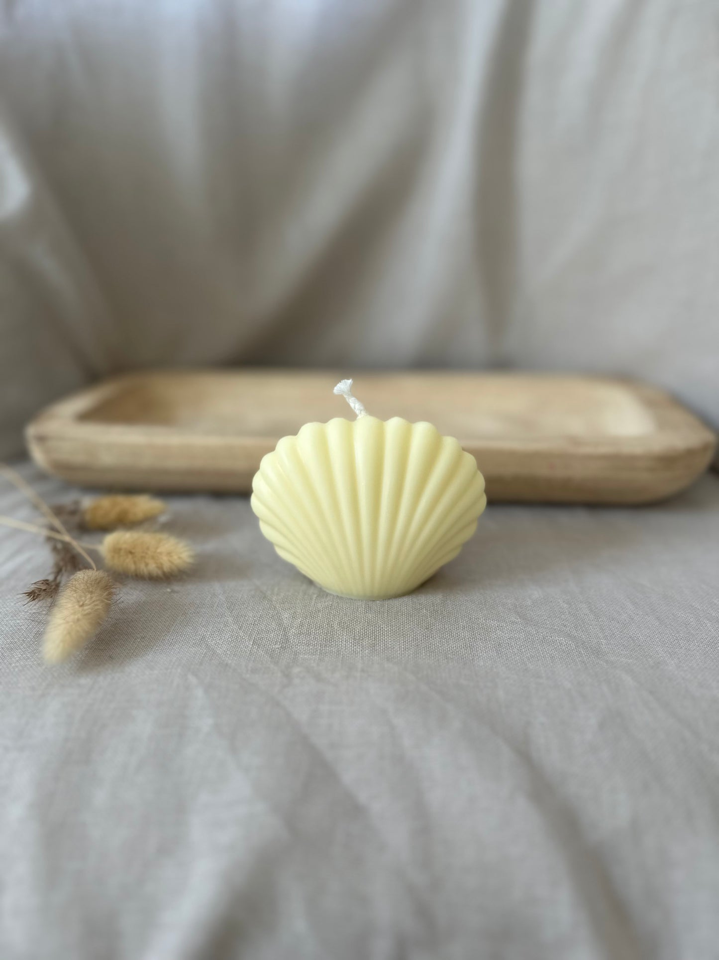 Coquillage