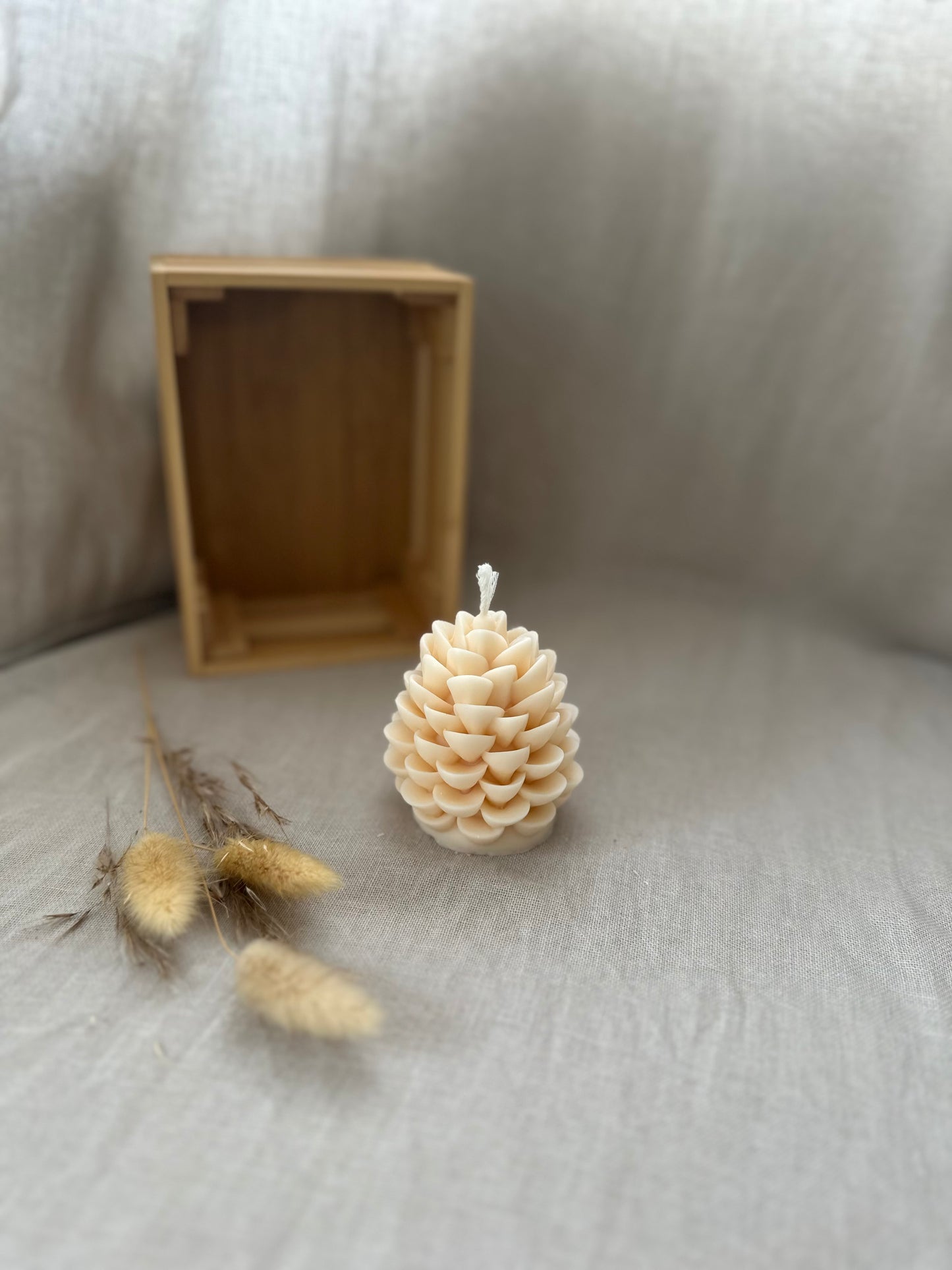 Pomme de pin