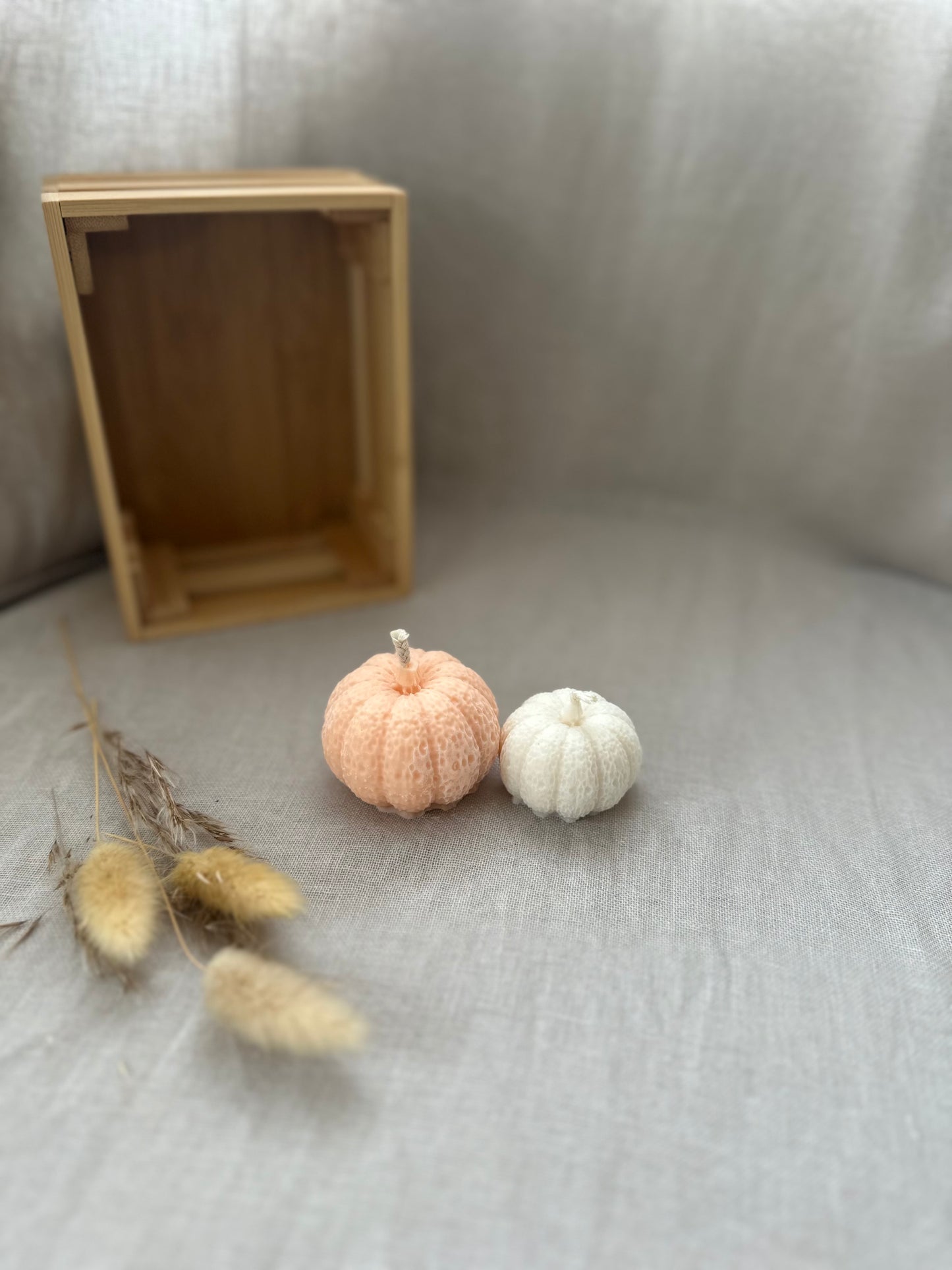 Duo citrouilles