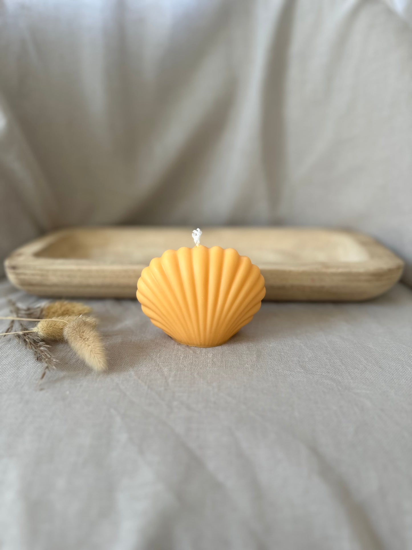 Coquillage