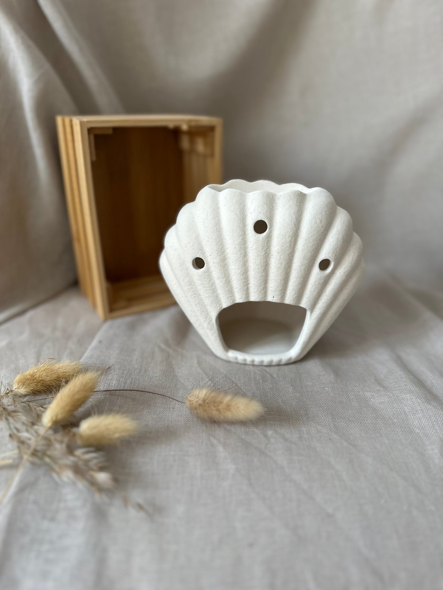 Coquillage