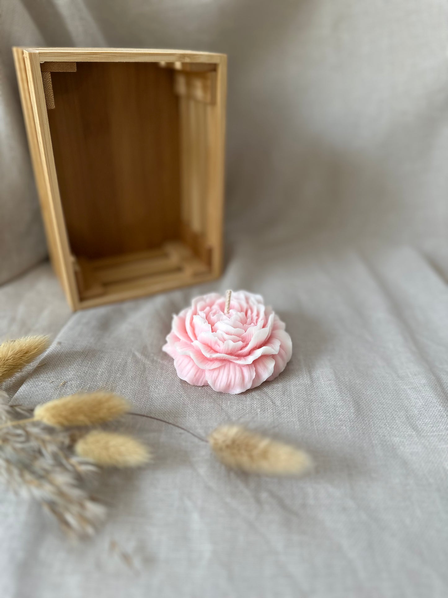 Pivoine