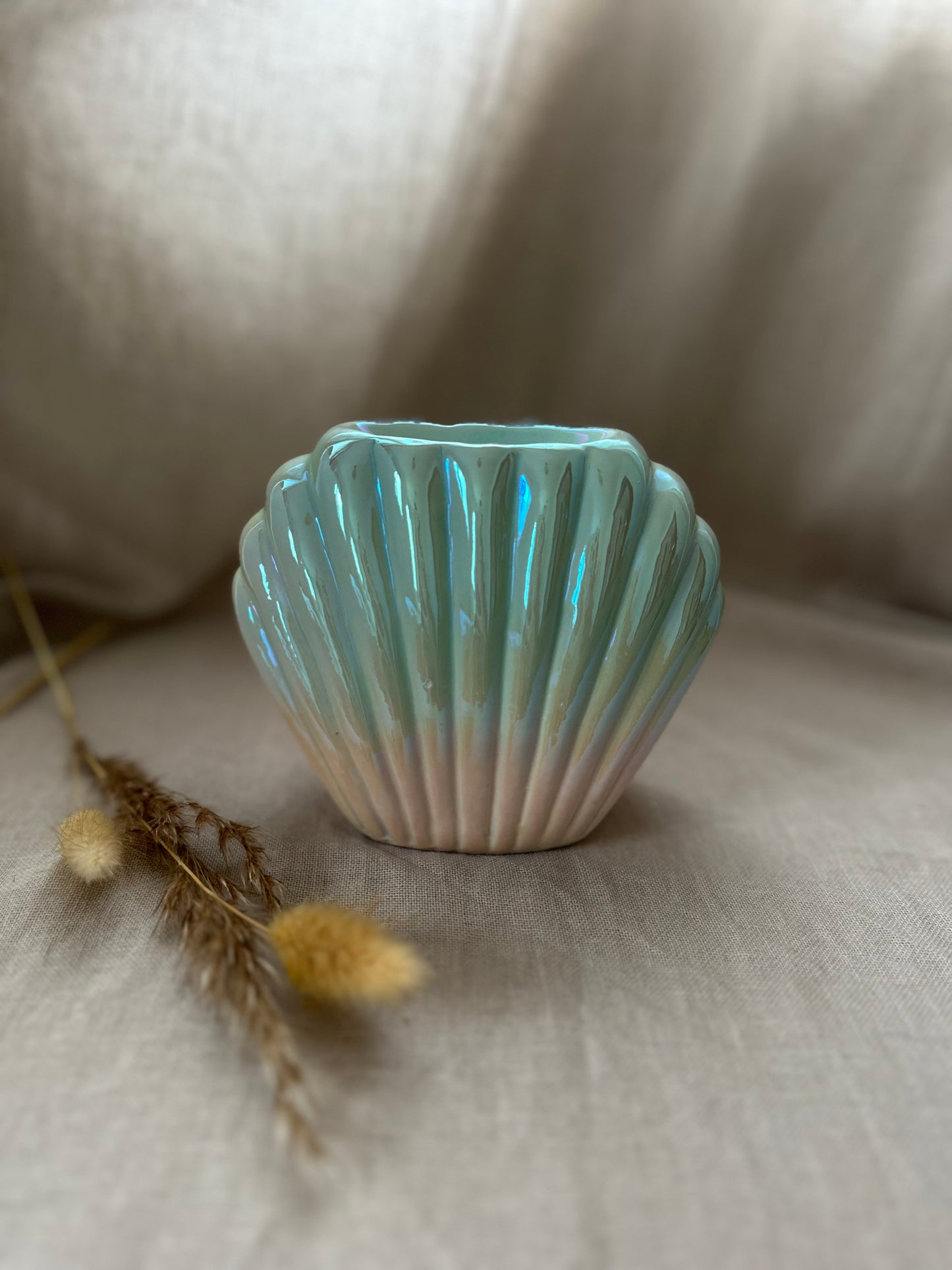 Coquillage sirène
