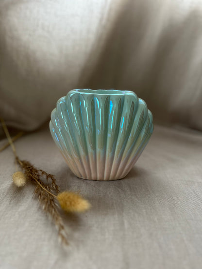 Coquillage sirène