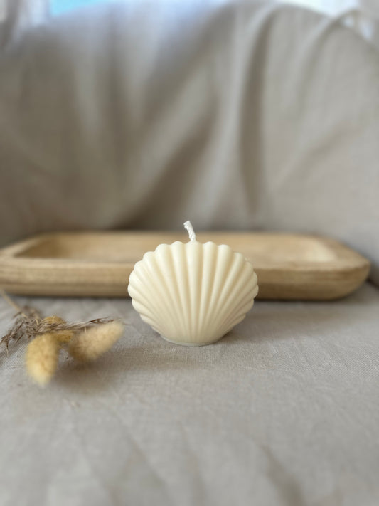 Coquillage