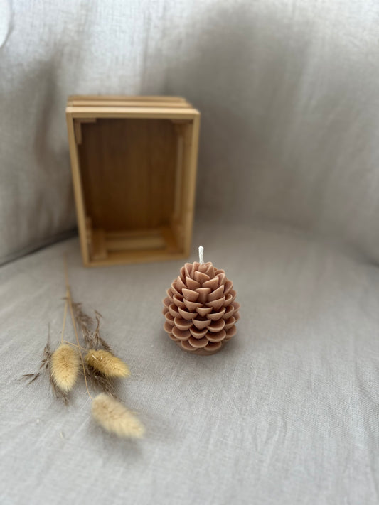 Pomme de pin