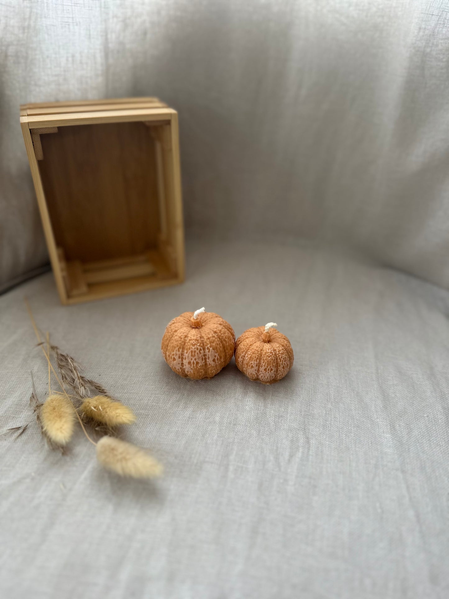 Duo citrouilles