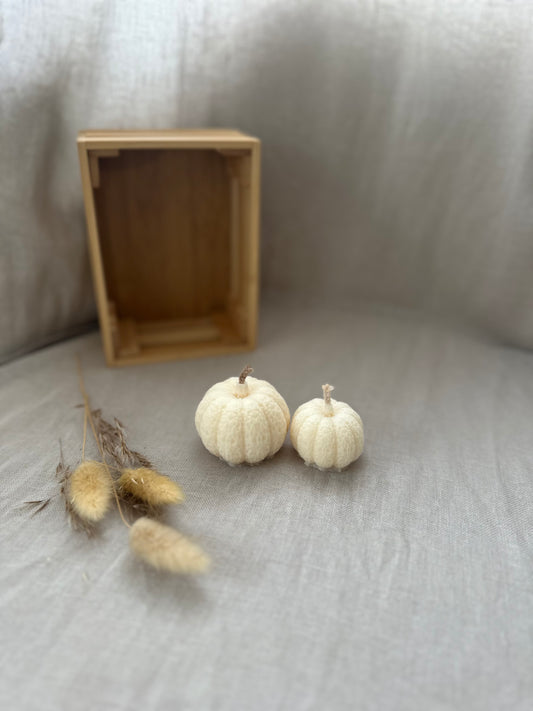 Duo citrouilles