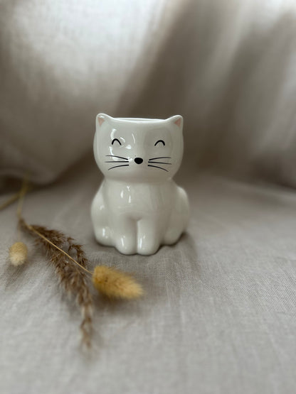 Chat blanc