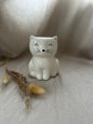 Chat blanc