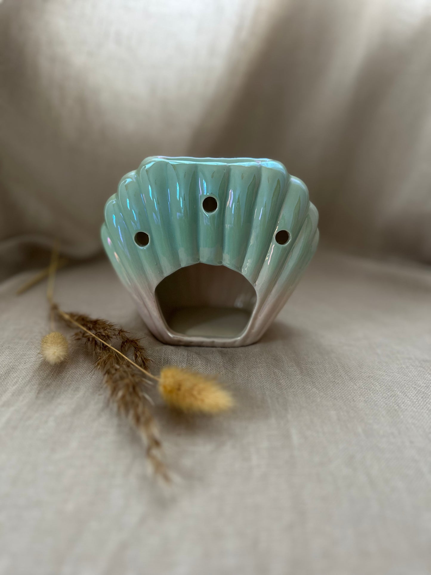 Coquillage sirène