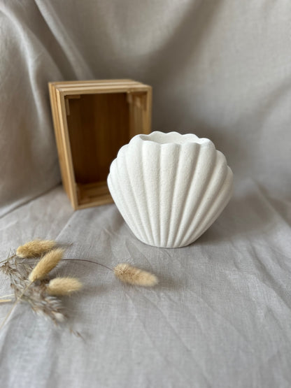 Coquillage