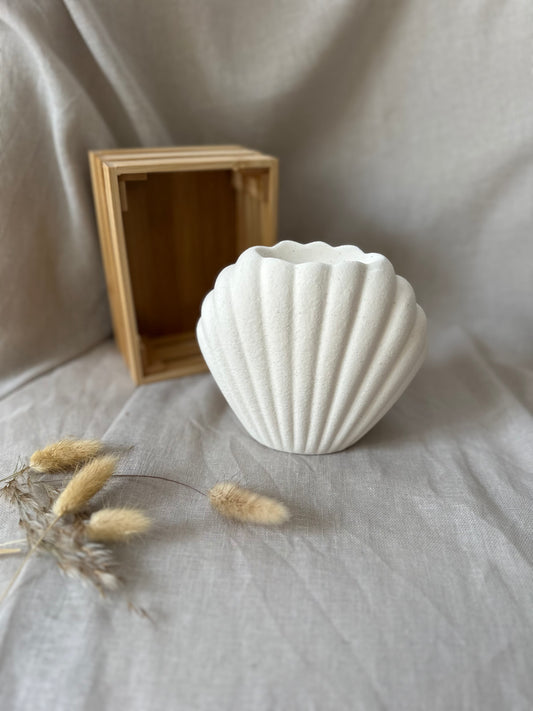 Coquillage