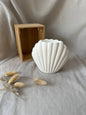 Coquillage